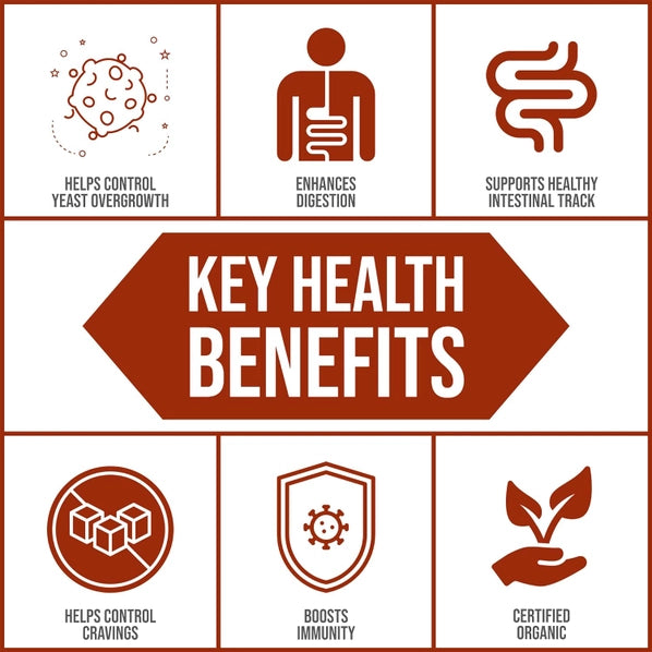 Cocobiotic from Body Ecology