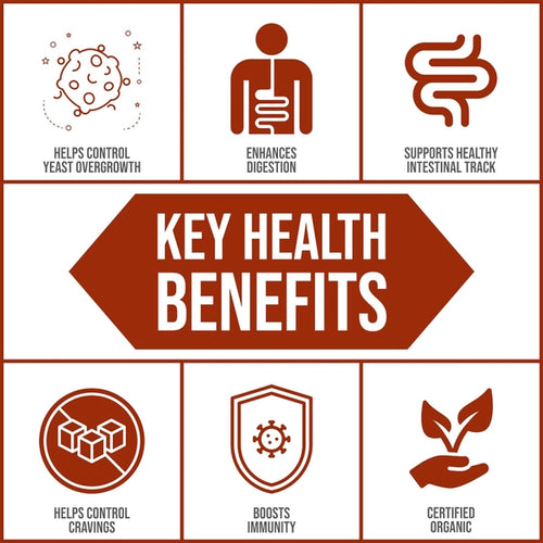 Cocobiotic from Body Ecology